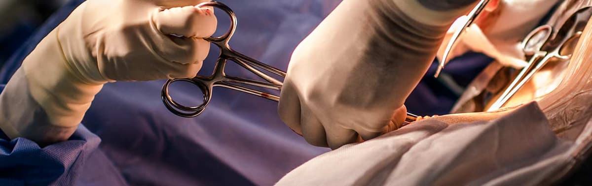 Medical illustration of transvaginal mesh implant showing potential complications
